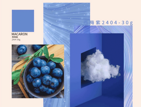 意大利卡百利藝術涂料·軟裝——馬卡龍色彩系列之西梅紫