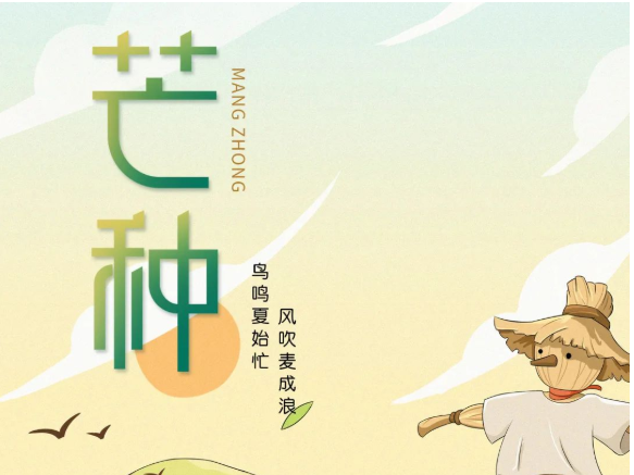 卡百利藝術(shù)涂料-二十四節(jié)氣色彩丨芒種，穗色盈仲夏，美滿正此時(shí)