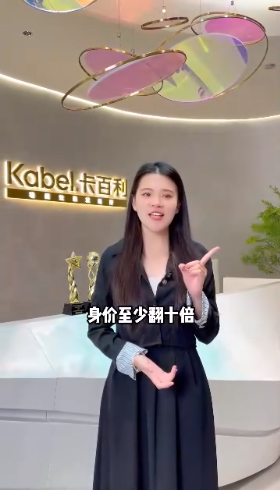 2024年，普通人最有機會大三個賽道分享卡百利藝術漆