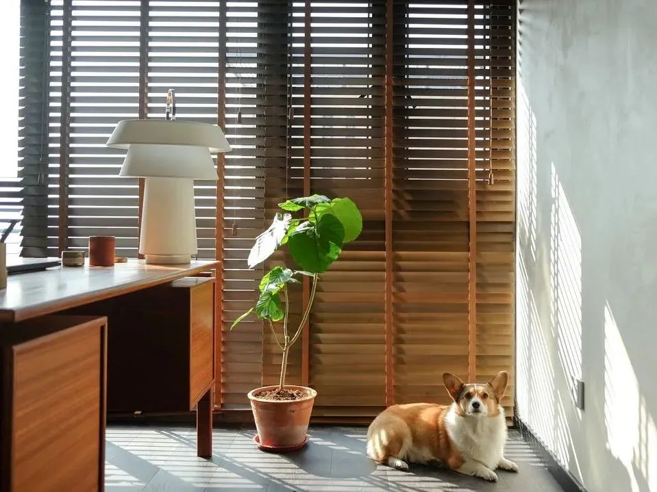 藝術涂料裝修指南